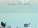 issykkul_21