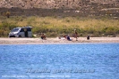 issykkul_3