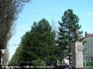 Sity